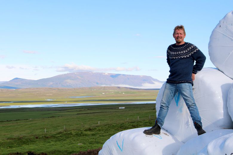 Norðmenn gefa út skilyrði til innflutnings á heyi