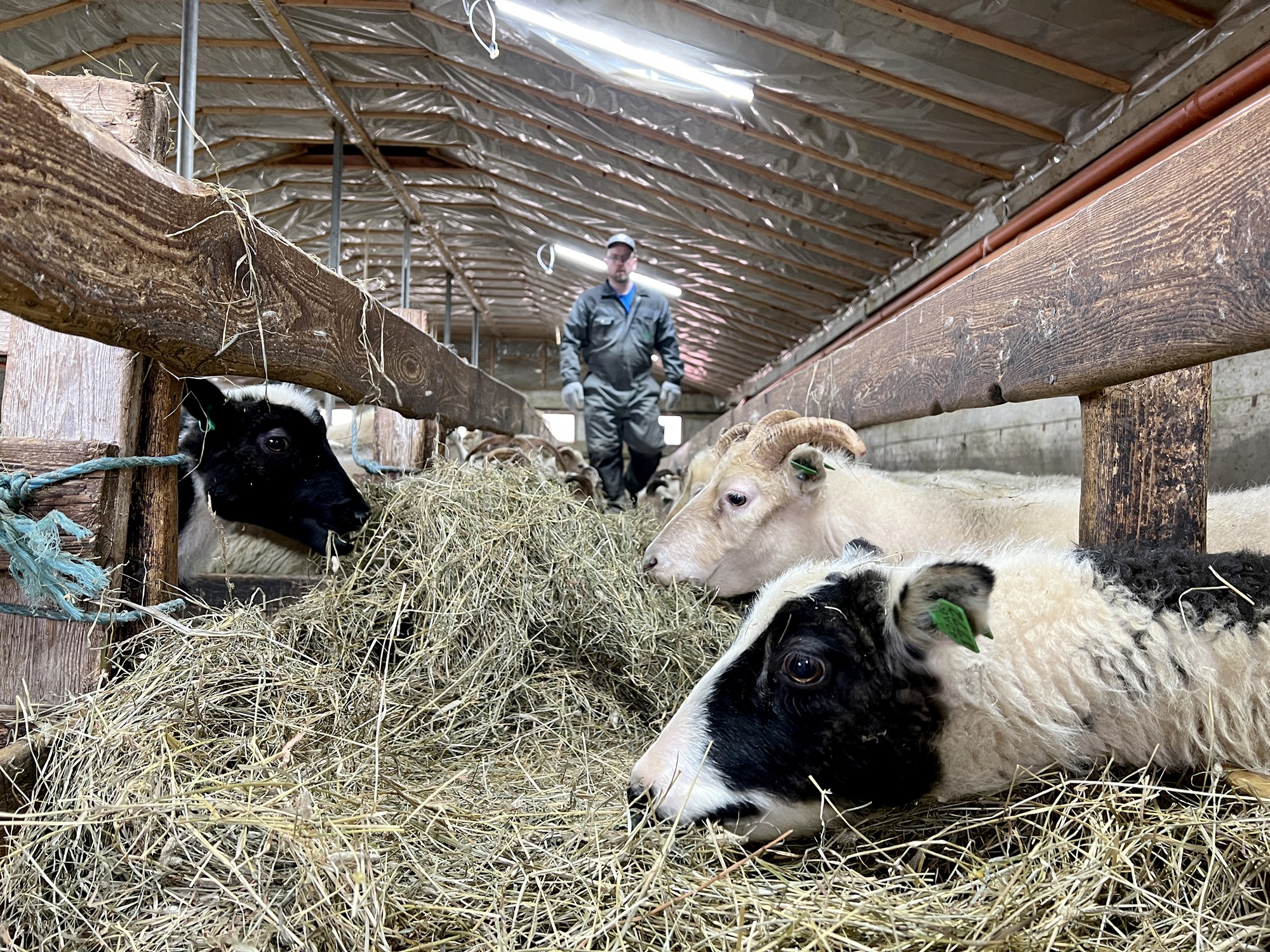 Beðið eftir viðbrögðum