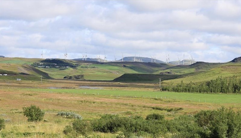 Nauðbeygður til að verjast