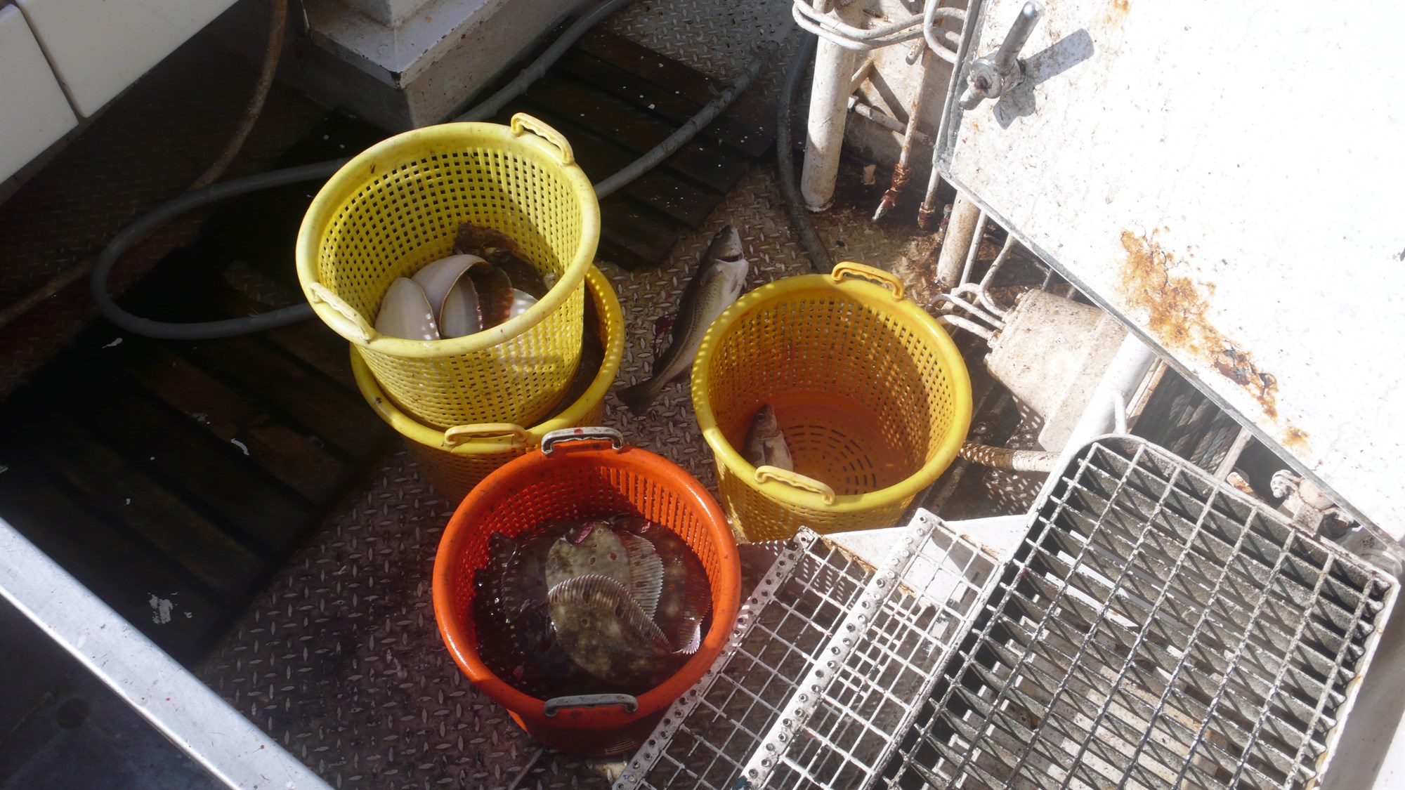 Auðlindin „okkar“