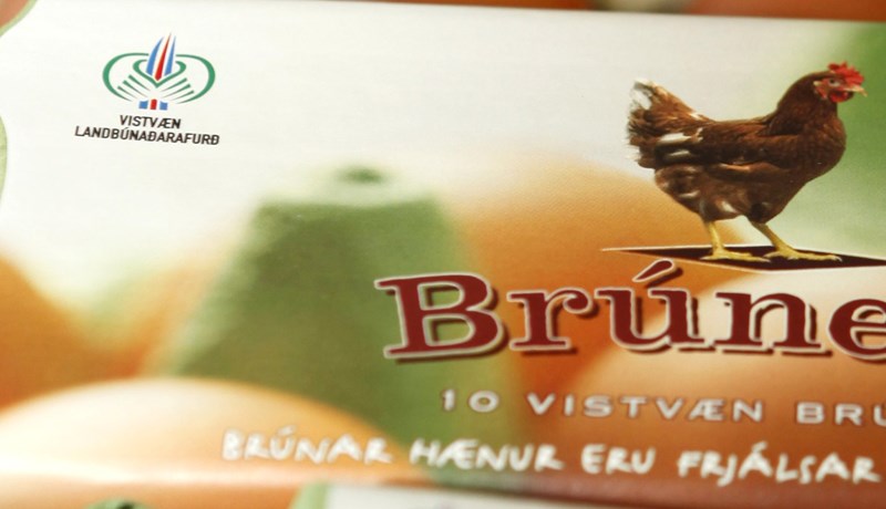 Bændasamtök Íslands fordæma illa meðferð á dýrum