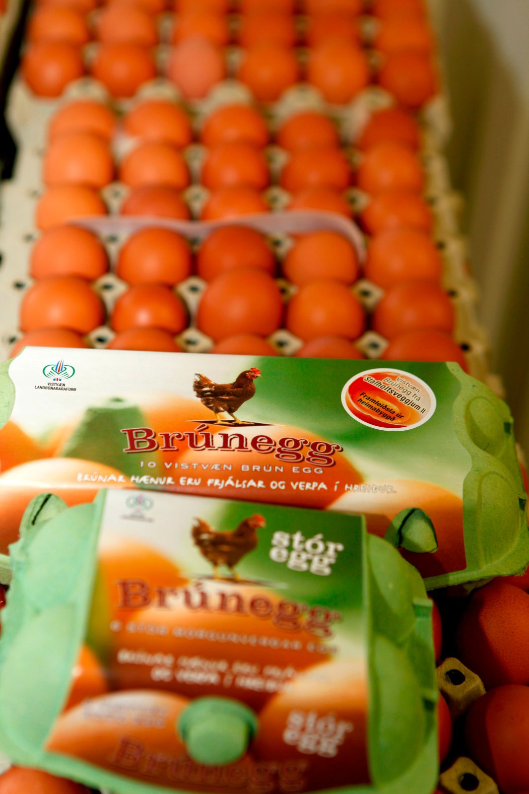 Mál sem má ekki endurtaka sig