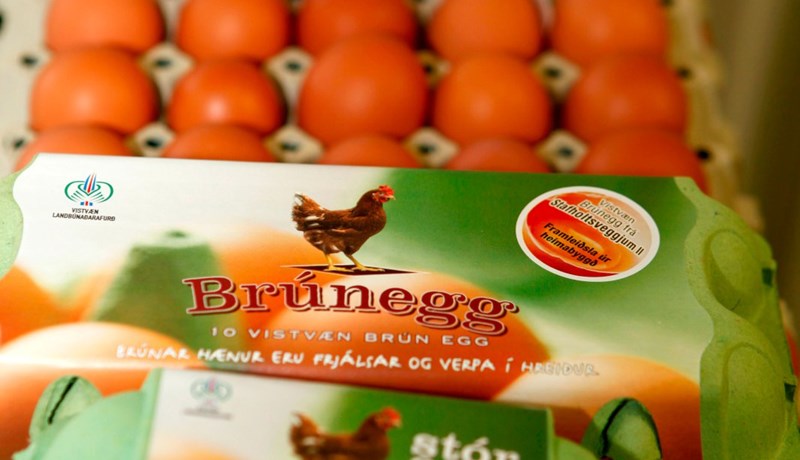 Von á skýrslu í marsbyrjun um stjórnsýsluúttekt á MAST