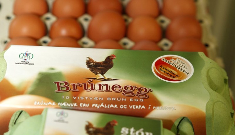 Brúnegg óska eftir gjaldþrotameðferð