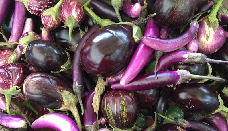 Eggaldin var talið valda geðveiki