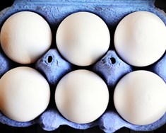 Tollur fylgir ekki verðlagi