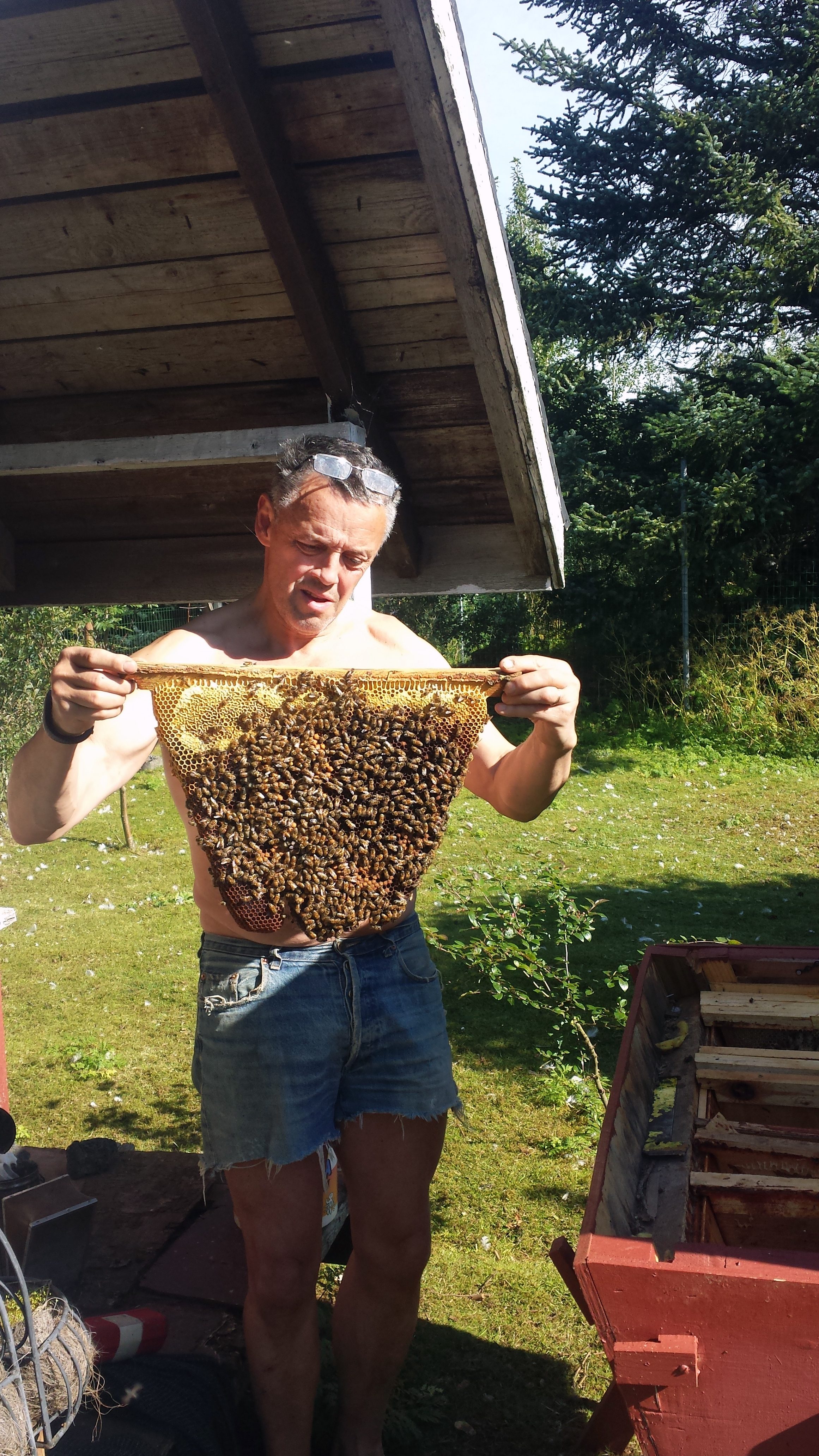 Góð hunangsuppskera á Suðvesturlandi