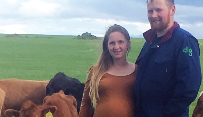 Egilsstaðakot og Lækur í gróffóðurkeppni Yara