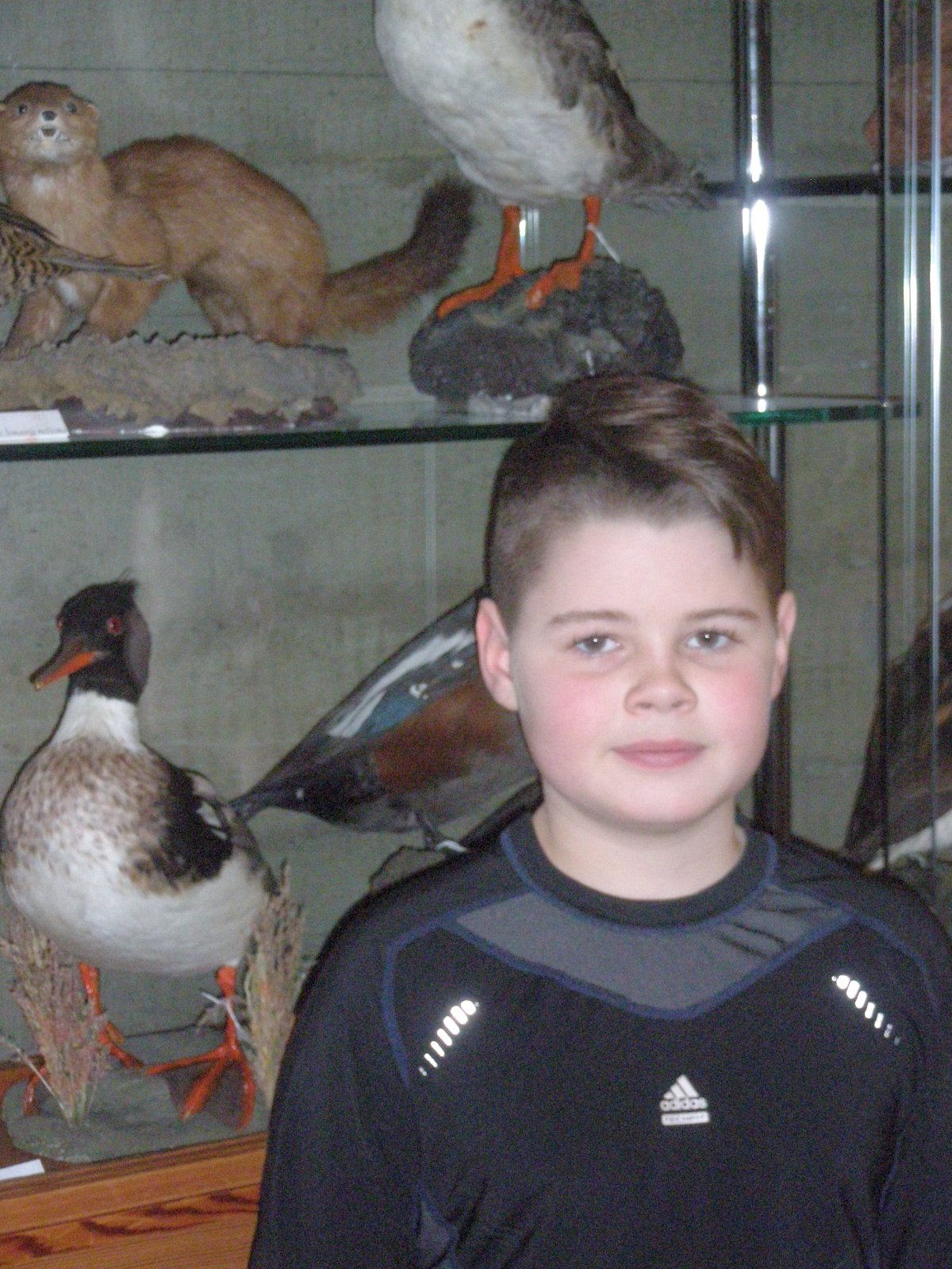 Gullfiskar og pitsur  í uppáhaldi