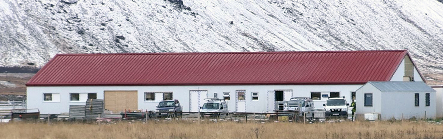 Sex Anguskálfar í Stóra- Ármóti komnir í 9 mánaða einangrun