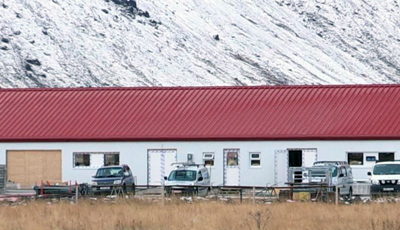 Sex Anguskálfar í Stóra- Ármóti komnir í 9 mánaða einangrun