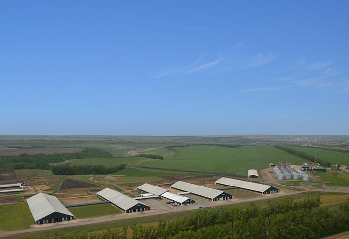 Rússar hafa verið með stórátak í mjólkurframleiðslu á undanförnum árum