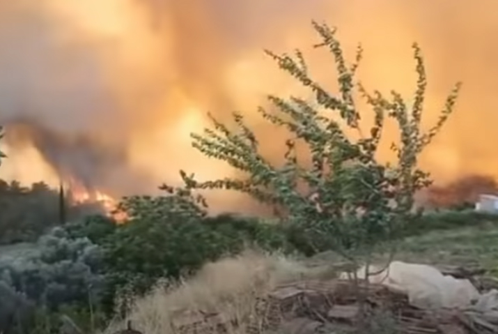 Möguleg íkveikja veldur skógareldum