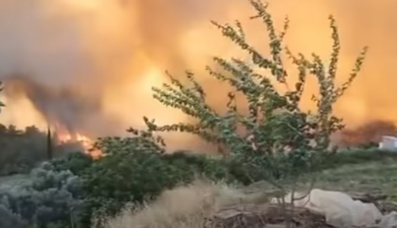 Möguleg íkveikja veldur skógareldum