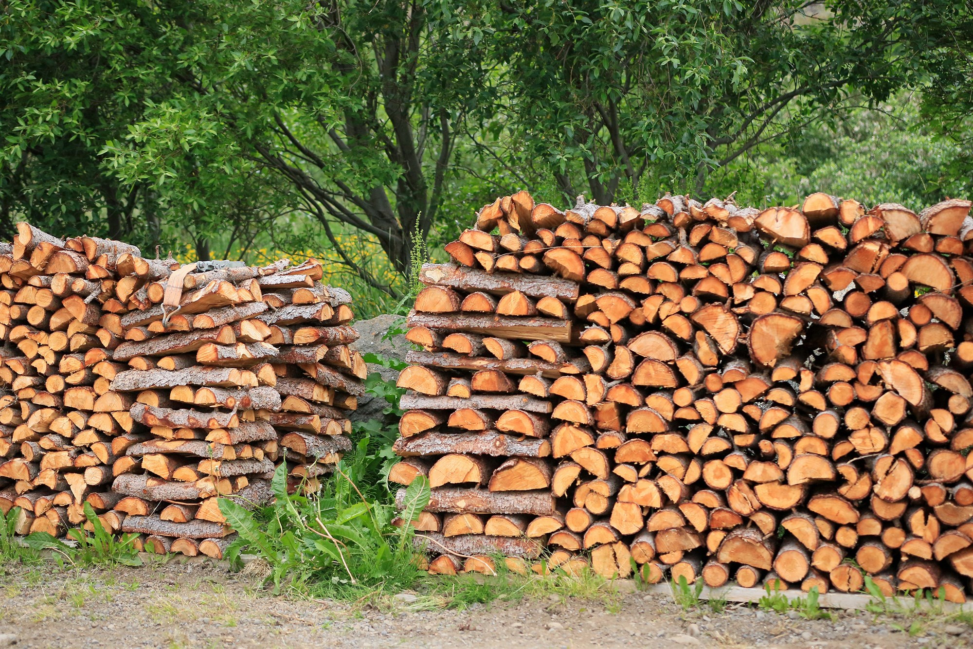 Eldiviður og eldiviðargerð