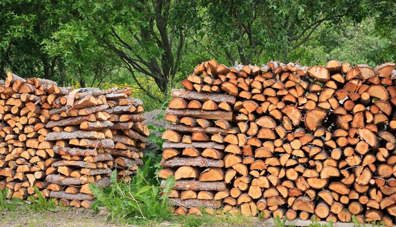 Eldiviður og eldiviðargerð