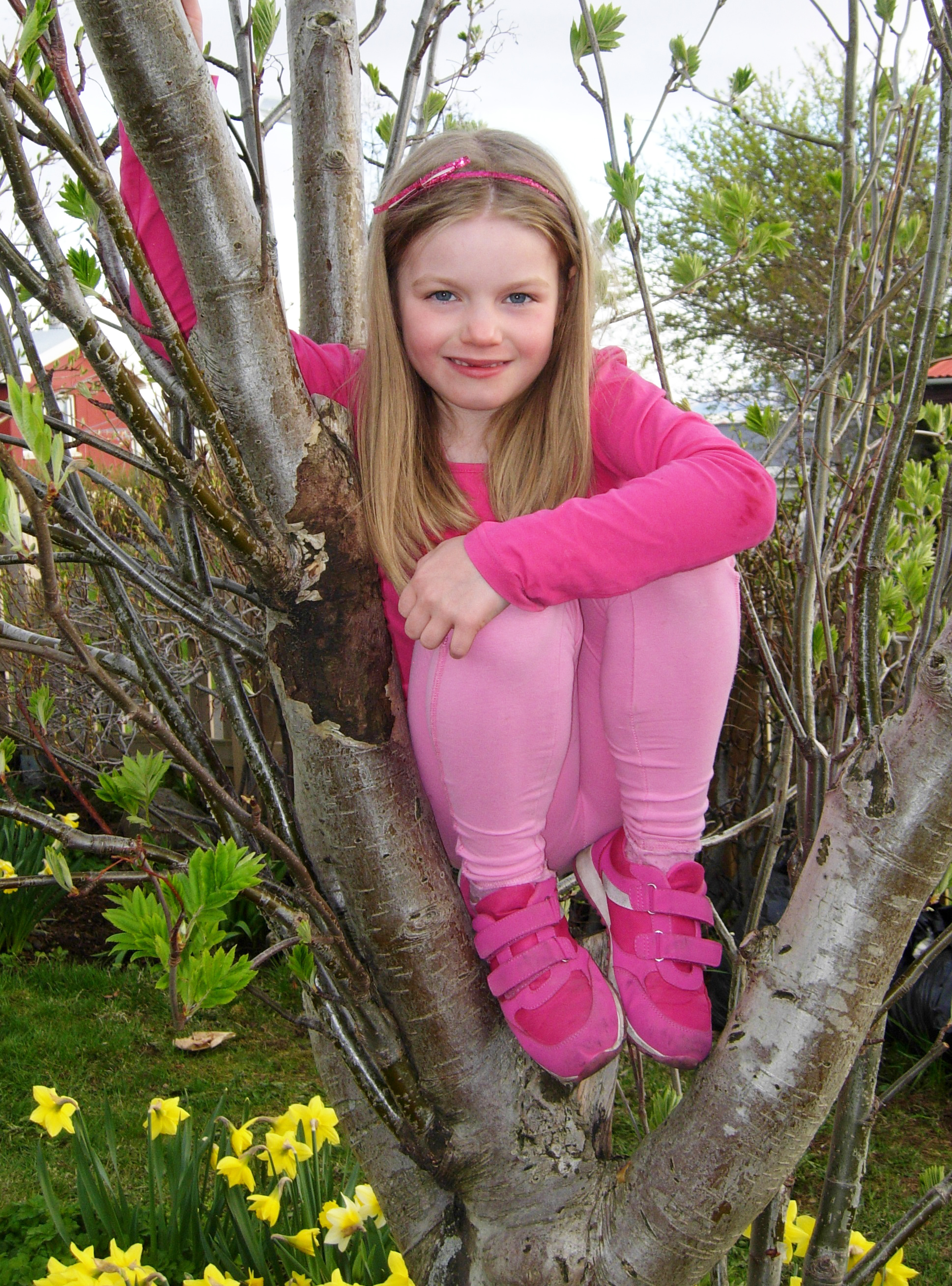 Lambakjöt með sósu  frá pabba