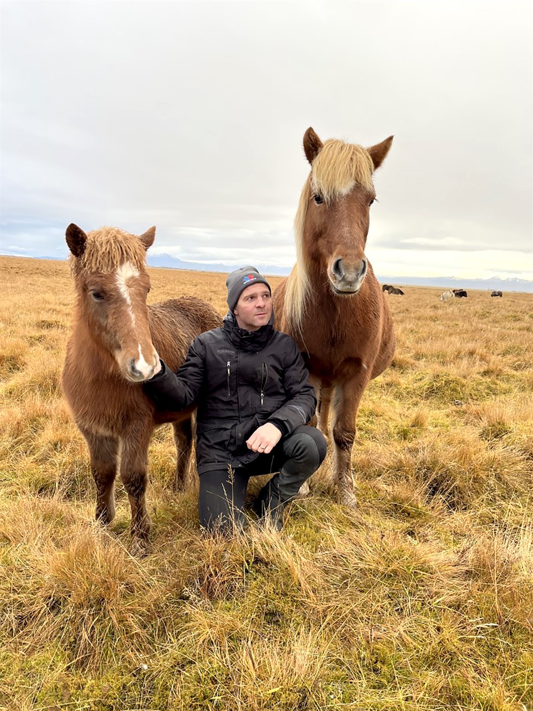 Hryssur sem hlutu heiðursverðlaun haustið 2022