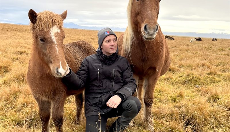 Hryssur sem hlutu heiðursverðlaun haustið 2022