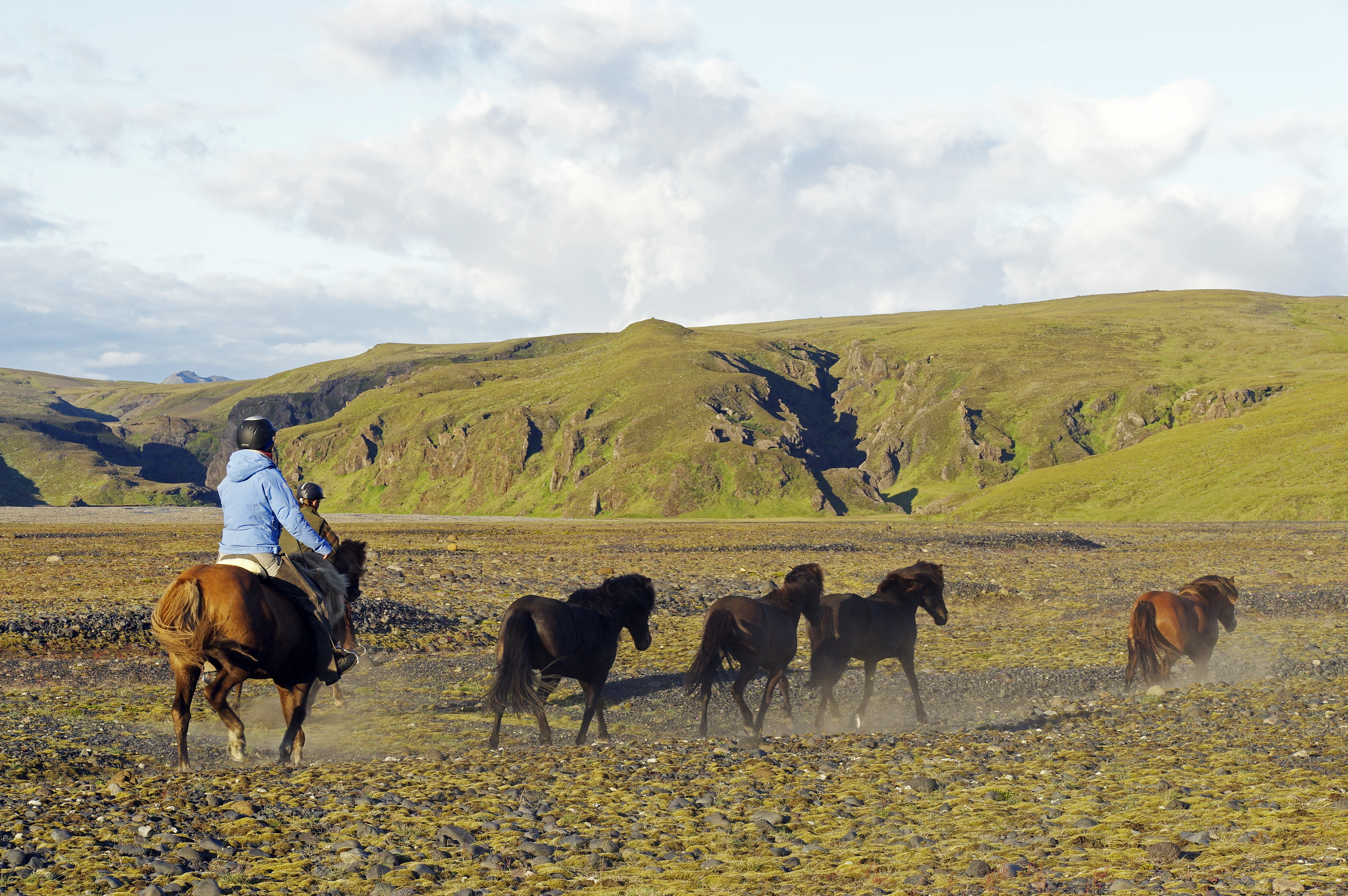 Skila á haustskýrslu umráðamanna hrossa í síðasta lagi 20. nóvember