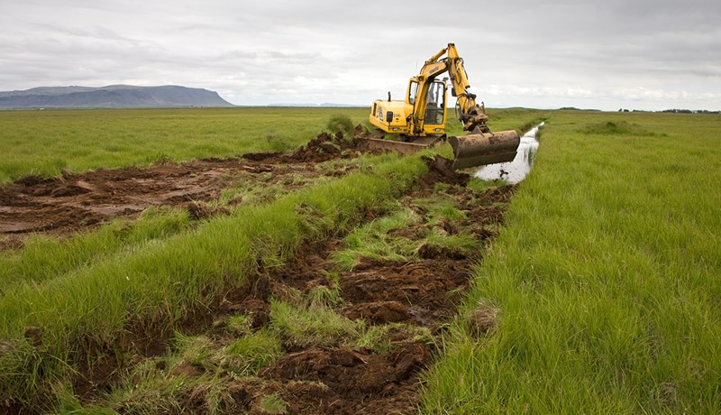 Forgangsröðun í vistheimt