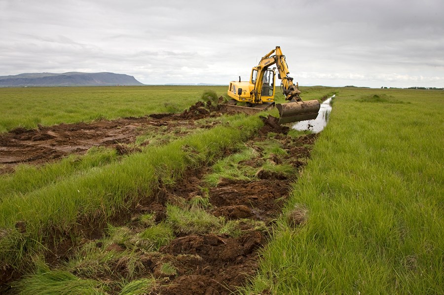 Forgangsröðun í vistheimt