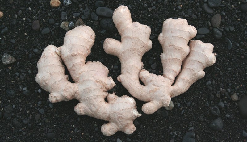 Hinn elskulegi engifer og útúrdúr um enskan biskup