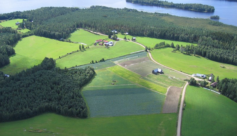 Finnskum búum fækkað úr 120.000 í 40.000 eftir ESB-aðild