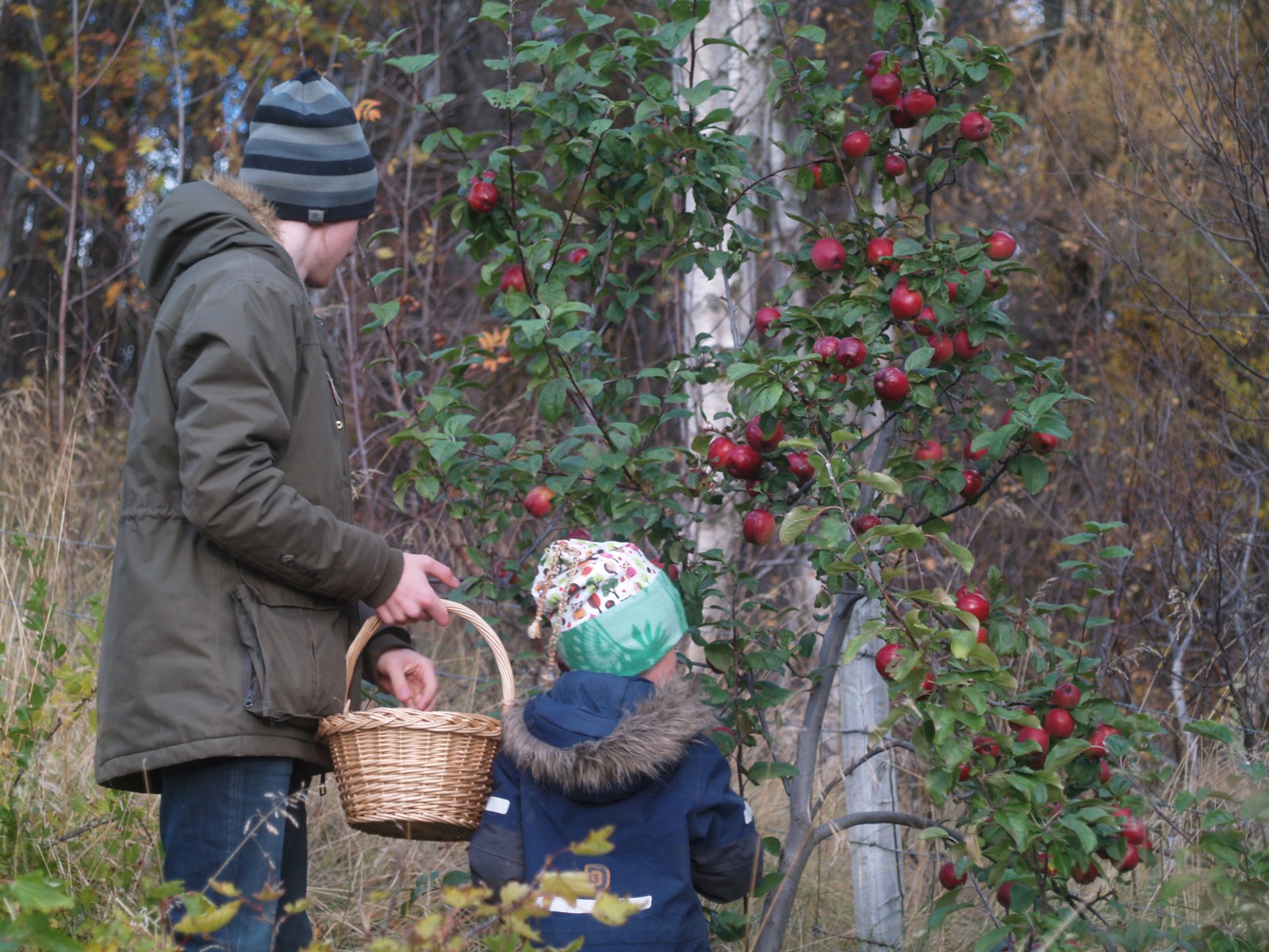 Uppskeran aldrei verið betri