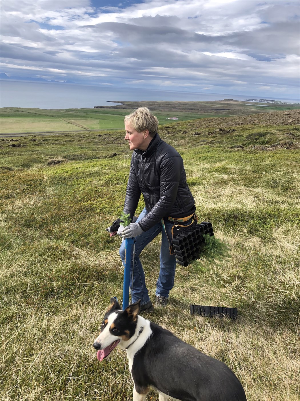 Þar sem glyttir í gróna  meli morgundagsins