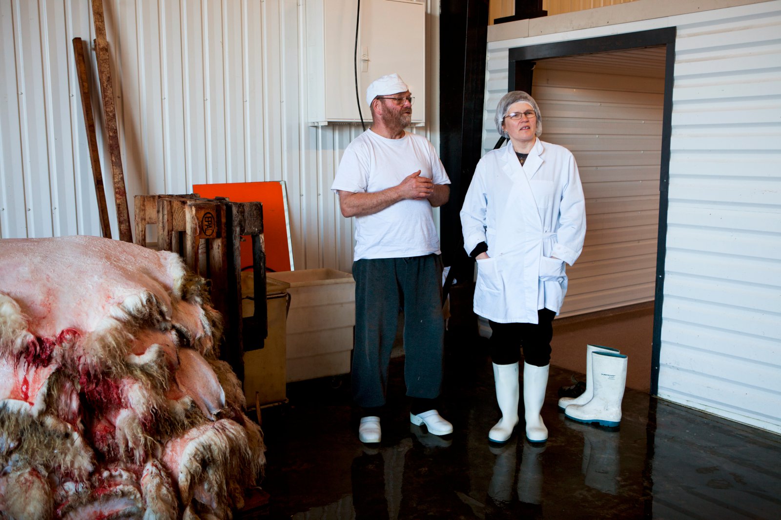 Matvælastofnun hefur aflétt banni á Seglbúðum