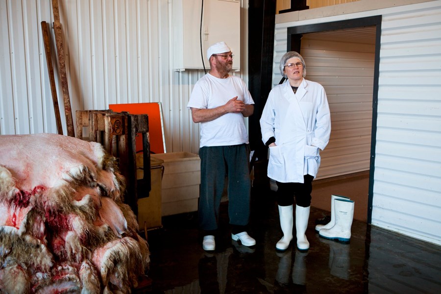 Erlendur Björnsson og Þórunn Júlíusdóttir, í sláturhúsi sínu í Seglbúðum.