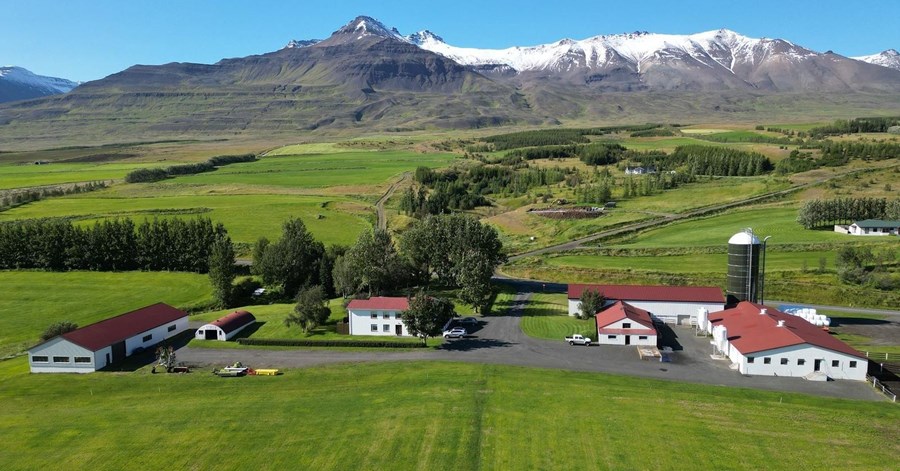 Espihóll í Eyjafjarðarsveit á björtum og fallegum sumardegi.