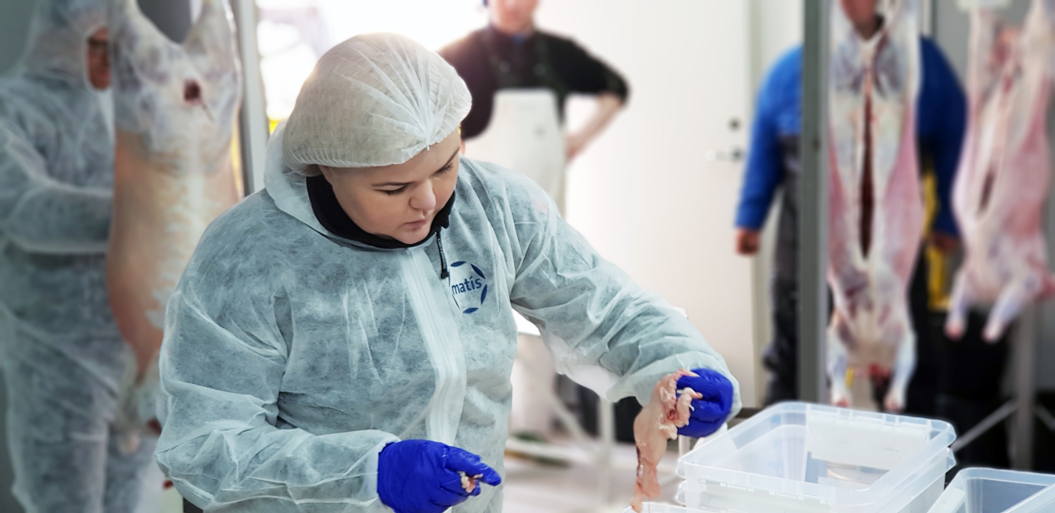 Skýrsla um örslátrunarverkefni Matís tilbúin til útgáfu