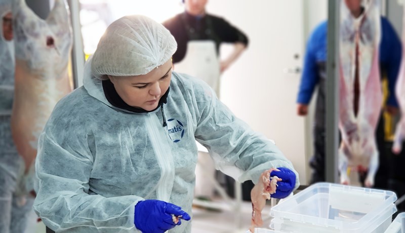 Skýrsla um örslátrunarverkefni Matís tilbúin til útgáfu