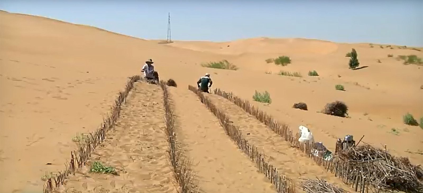 Kínverjar breyta eyðimörk í ræktarland