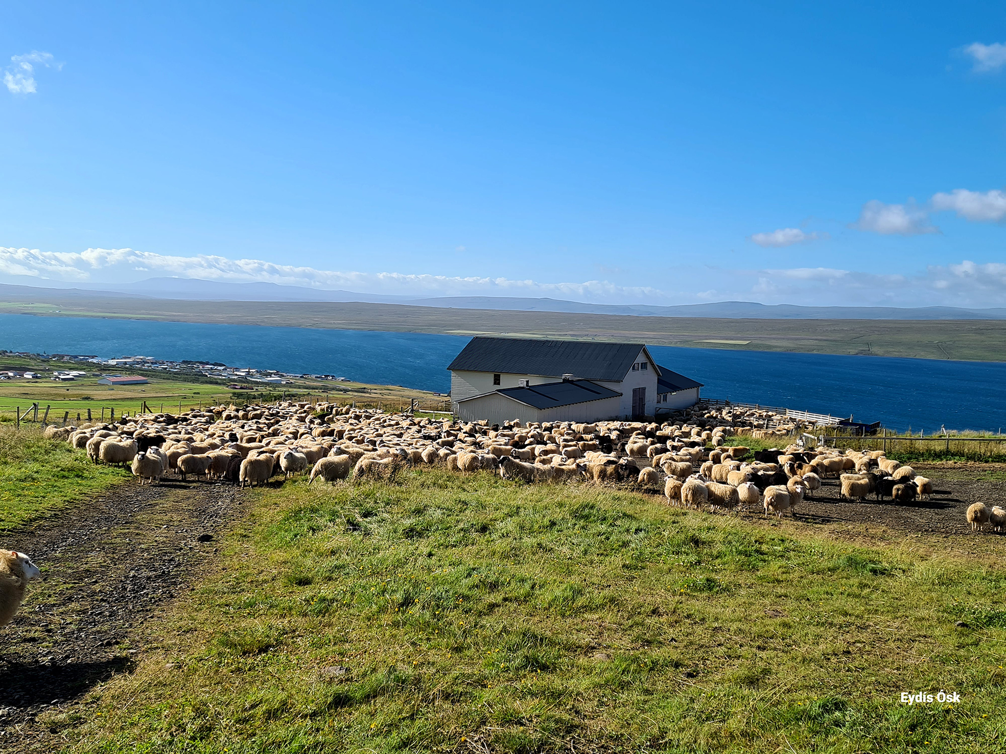 Smalað vegna óveðurs