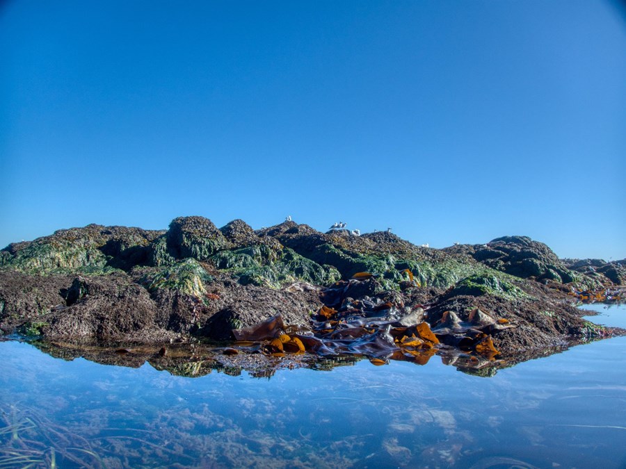 Náttúruauðlindir við Íslandsstrendur