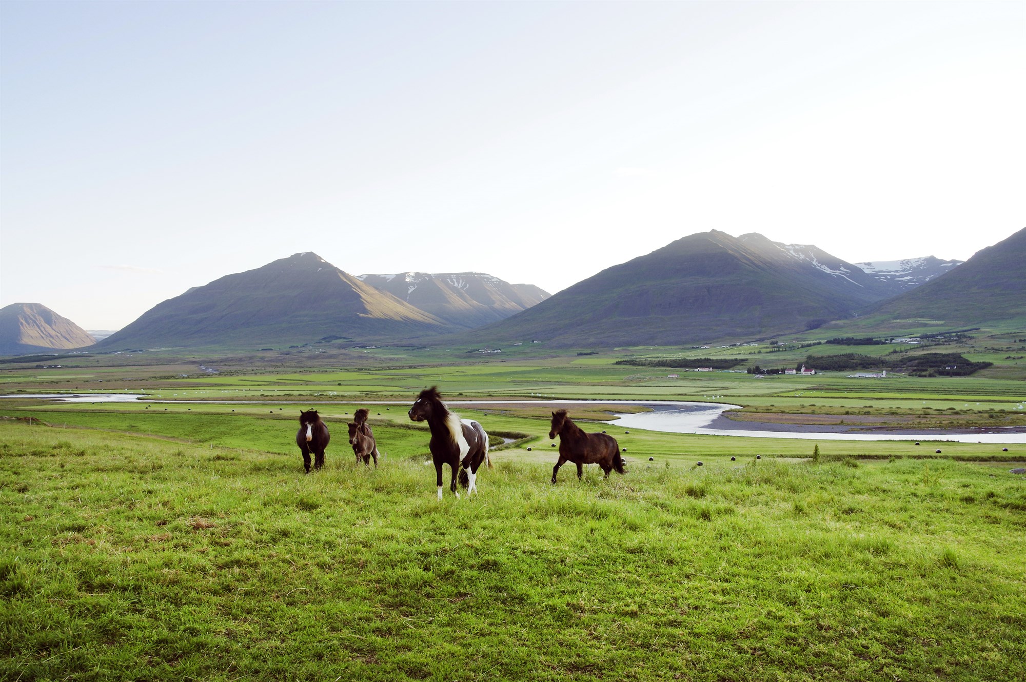 Ferðaþjónustan og fjármálafræðin  