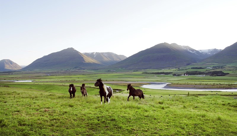 Ferðaþjónustan og fjármálafræðin