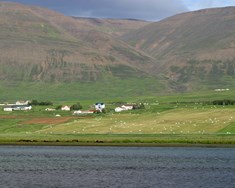 Aftur kemur vor í dal
