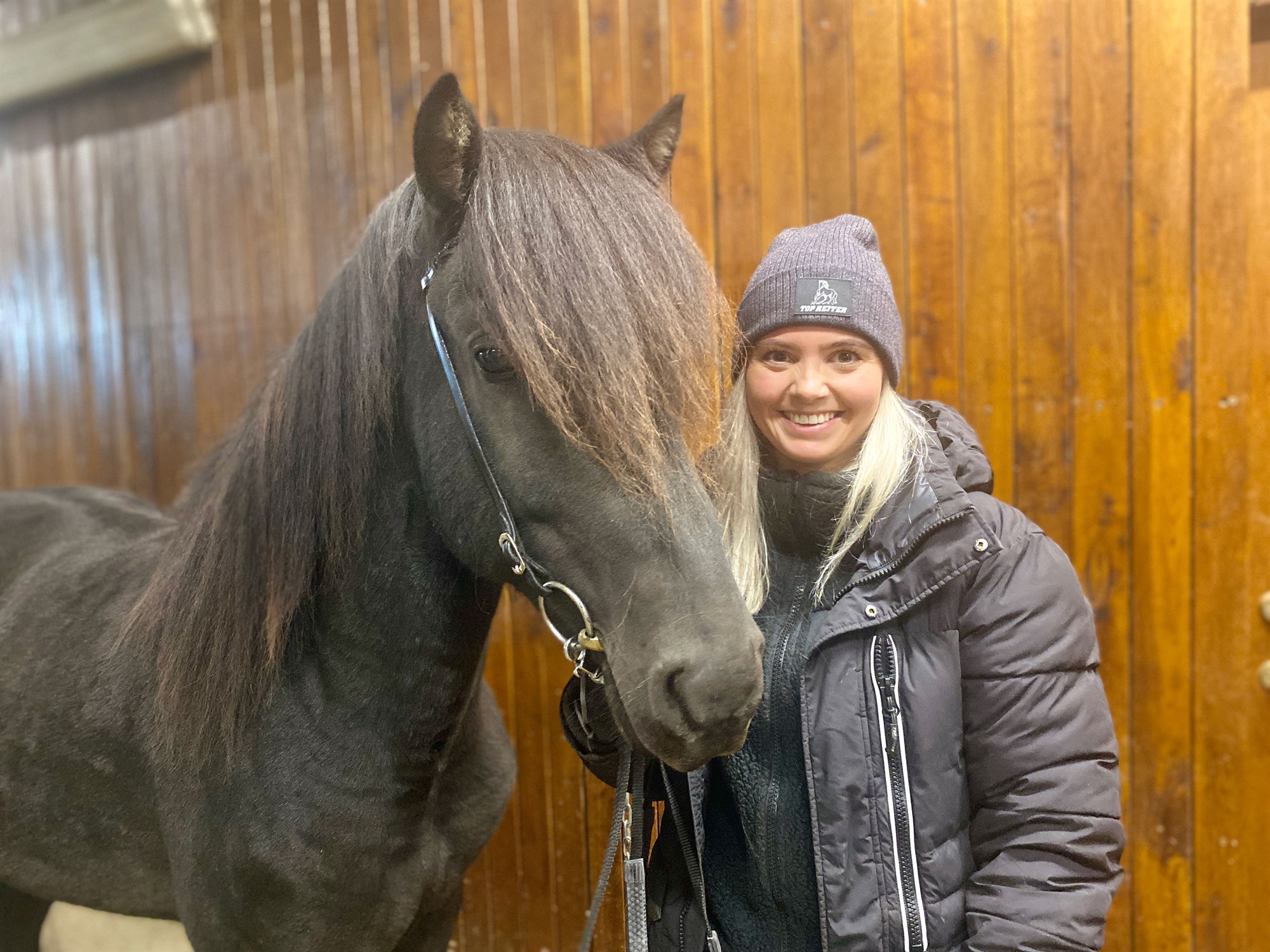 Geðprúður mýktarhestur