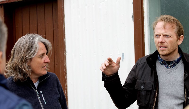 Nær 1.000 lömb talin bera verndandi arfgerð