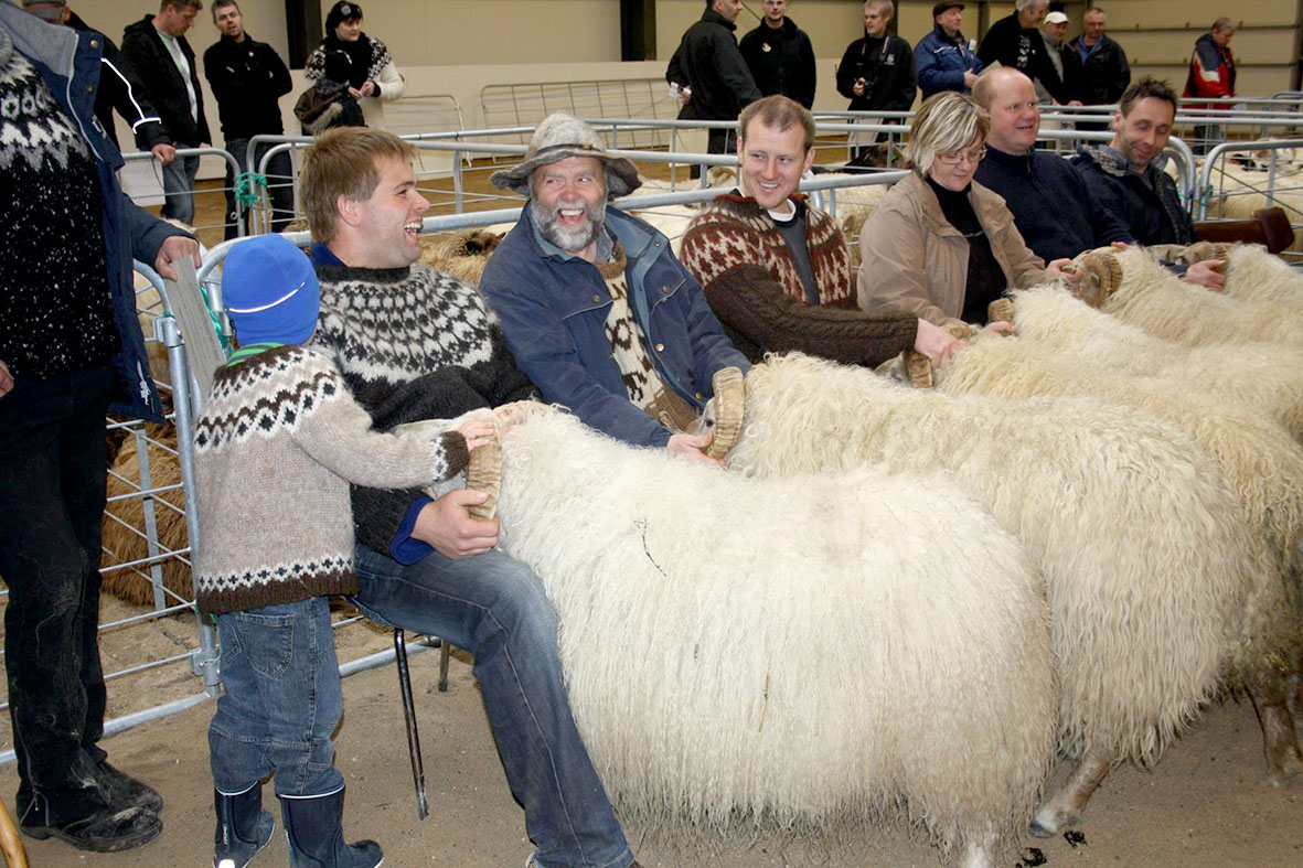 Dagur sauðkindarinnar í Rangárvallasýslu