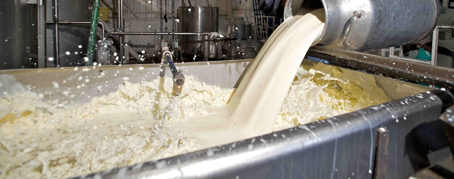 Heildarframleiðsla á mjólk aukist í ESB