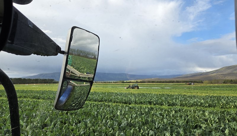 Stefnir í metuppskeru