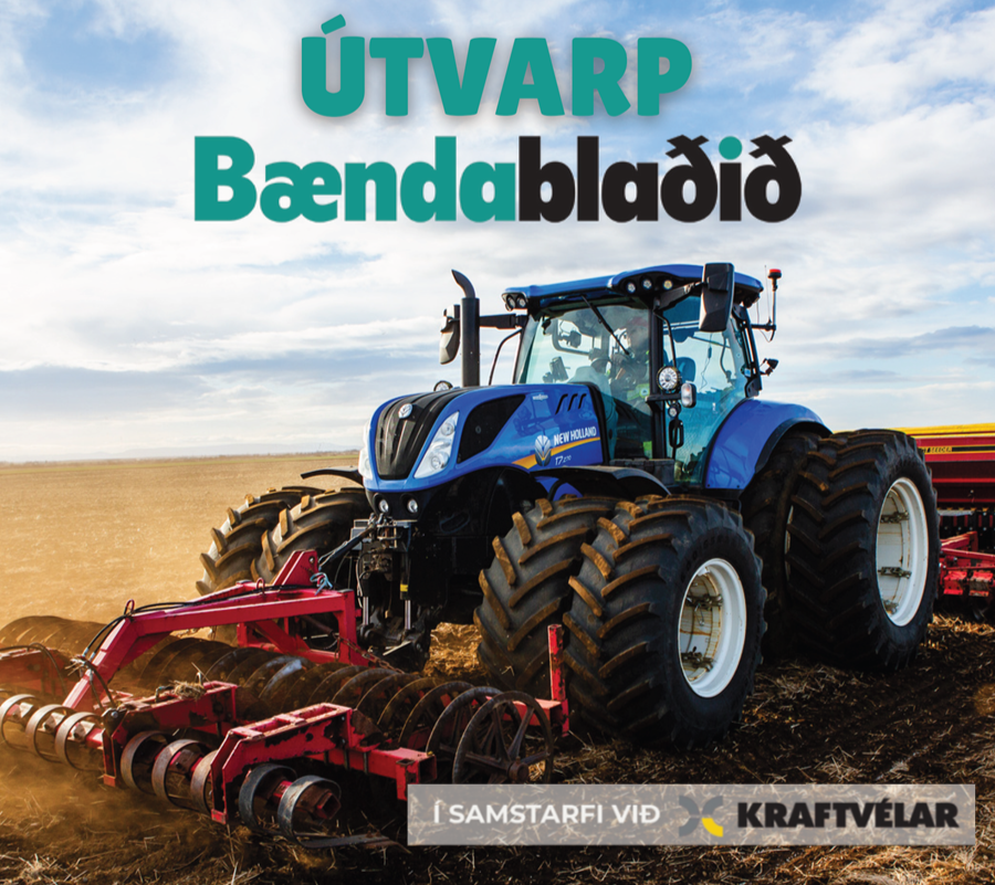 Í þættinum segir Guðmundur frá hugmyndum um að Gróðrarstöðin Mörk víki fyrir uppbyggingu á aðstöðu fyrir knattspyrnufélagið Víking í Fossvogsdalnum.