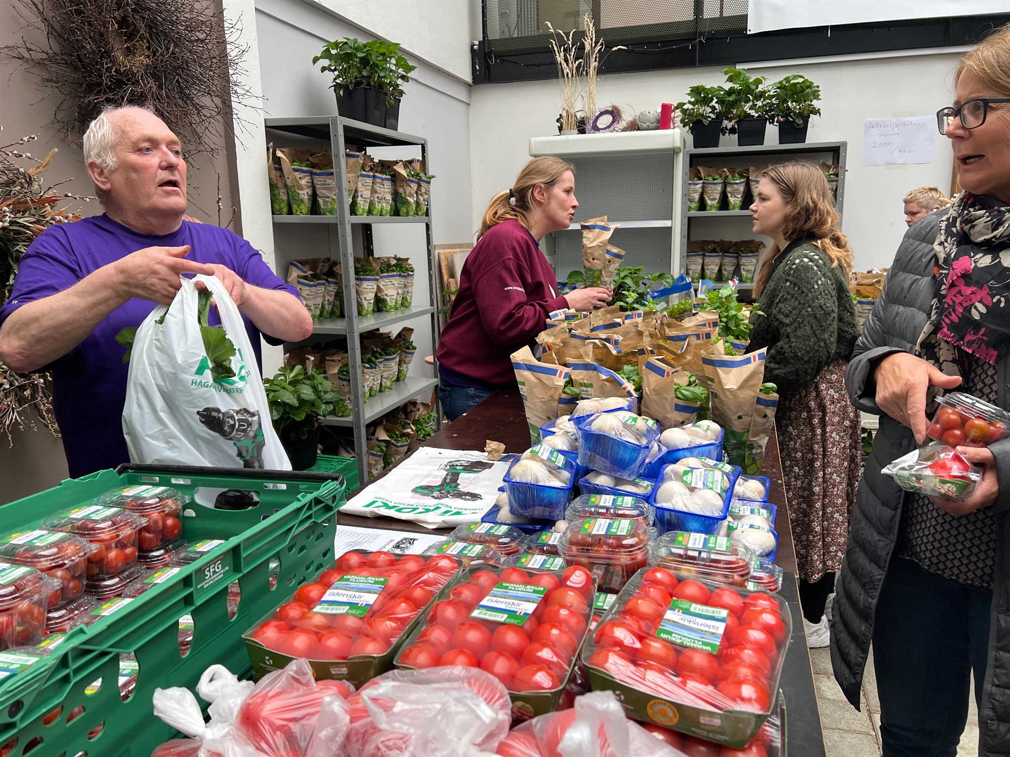 Hækkanir matvælaverðs í heiminum eiga sér vart fordæmi 
