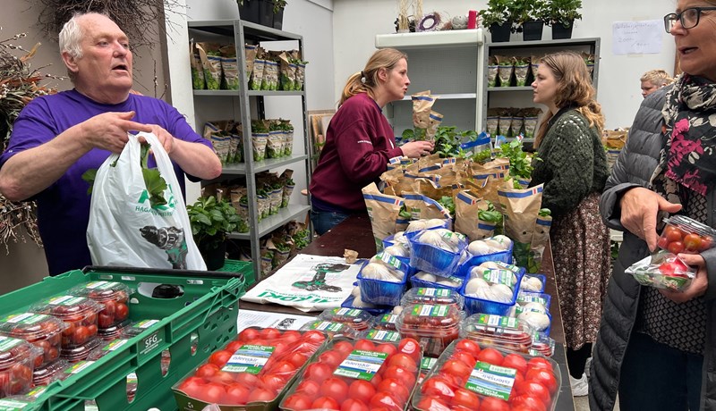 Hækkanir matvælaverðs í heiminum eiga sér vart fordæmi