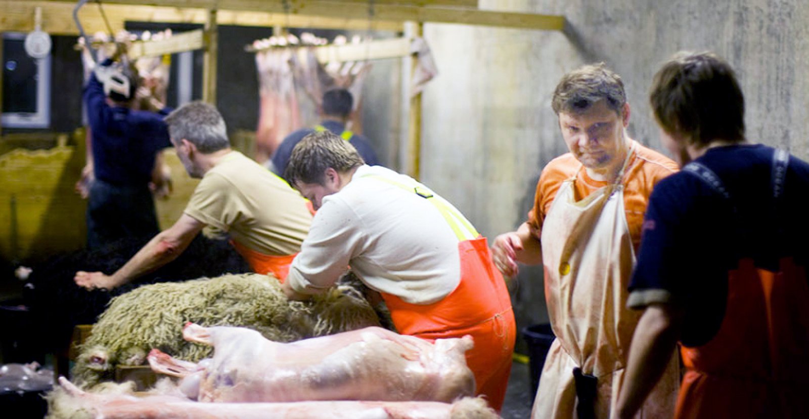 Færeyingar hrifnir af íslensku hrútakjöti